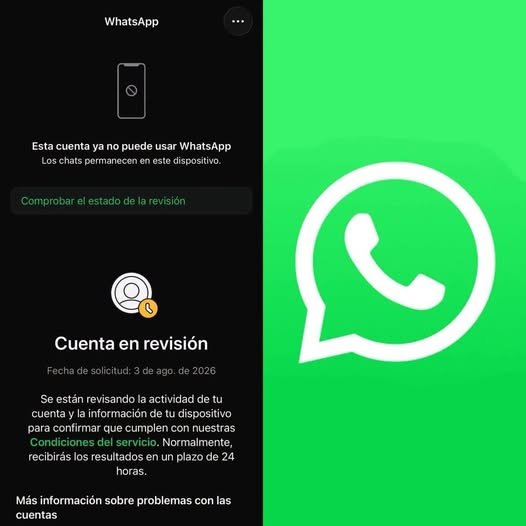 ¿»Cuenta en Revisión»? La Masiva Falla de WhatsApp del 3 de Agosto que Dejó a Millones Incomunicados